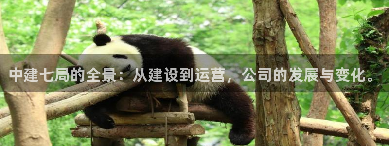 新航娱乐app下载：中建七局的全景：从建设到运营，公司的发展