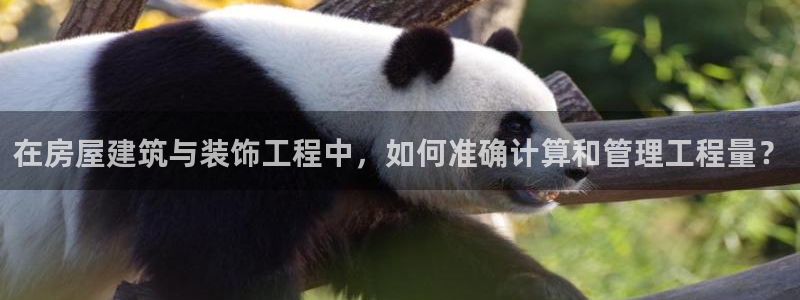 新航娱乐官方网站登录：在房屋建筑与装饰工程中，如何准确计算和
