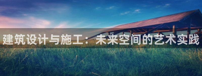 新航娱乐公司问题