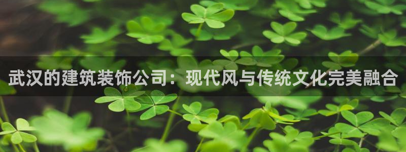 新航娱乐官方网站入口