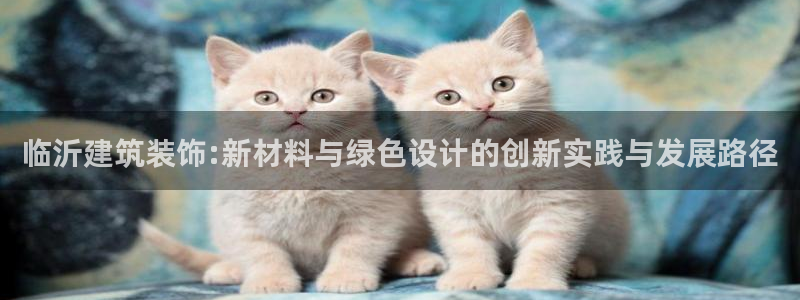 新航娱乐有限公司