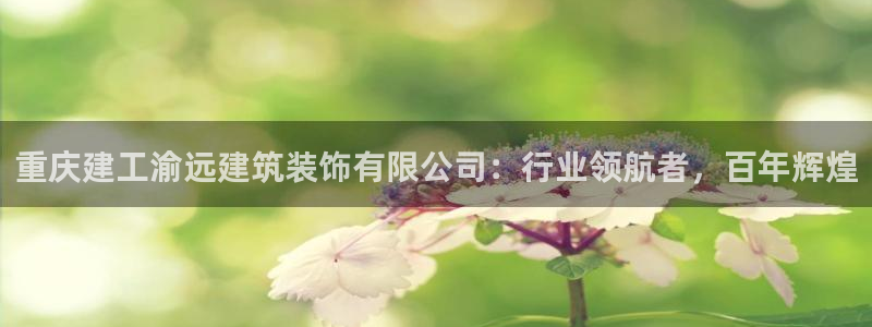 新航娱乐官方网站入口