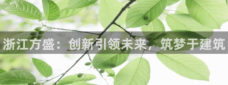 德阳娱乐城最新航拍