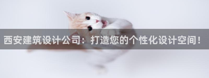 新航娱乐被国家认可吗