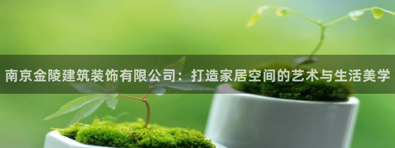 新航新客舱机上娱乐银