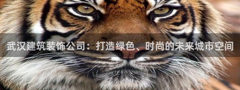 新航娱乐app下载安装
