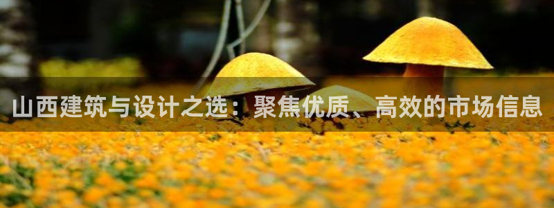 新航娱乐街7O935