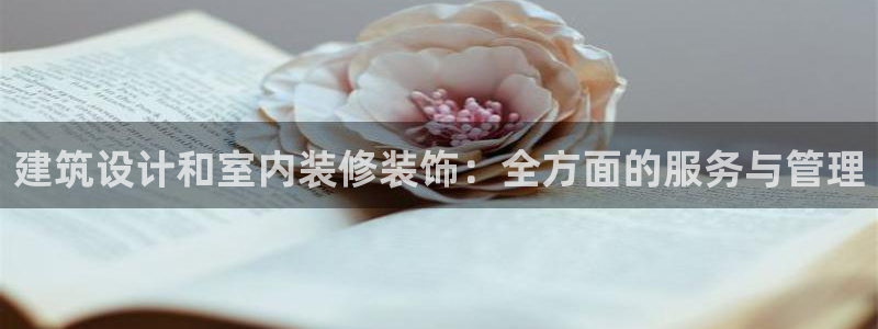 新航娱乐公司简介