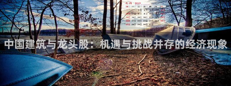 新航娱乐最新消息