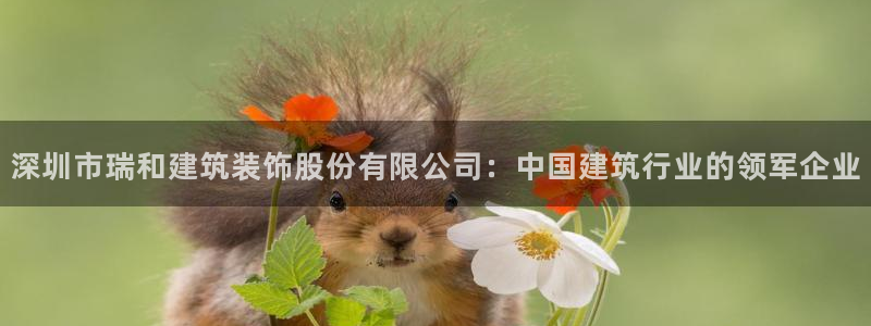 新航娱乐观