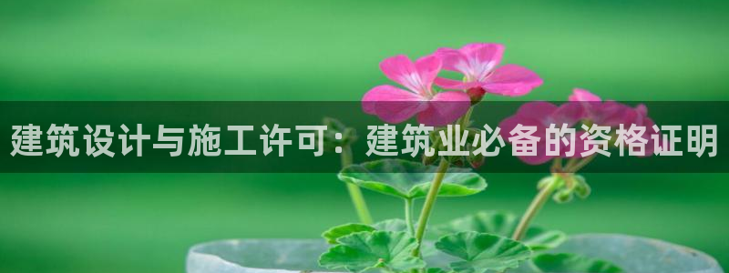 开启娱乐新航线