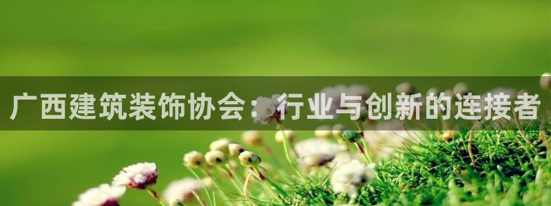 新航线辉煌娱乐会所