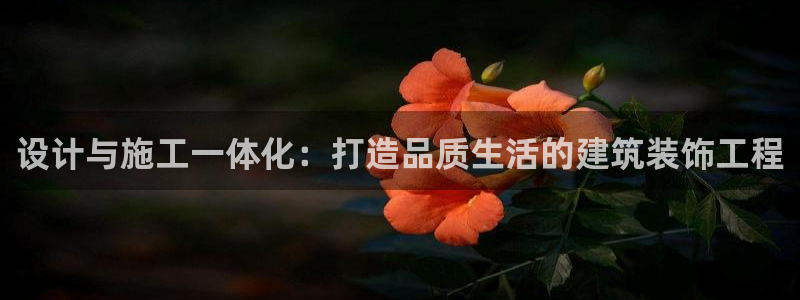 新航娱乐公司招聘信息网