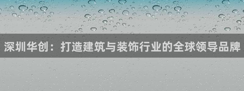 新航娱乐公司简介图片