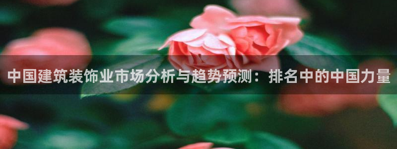 新航娱乐代理