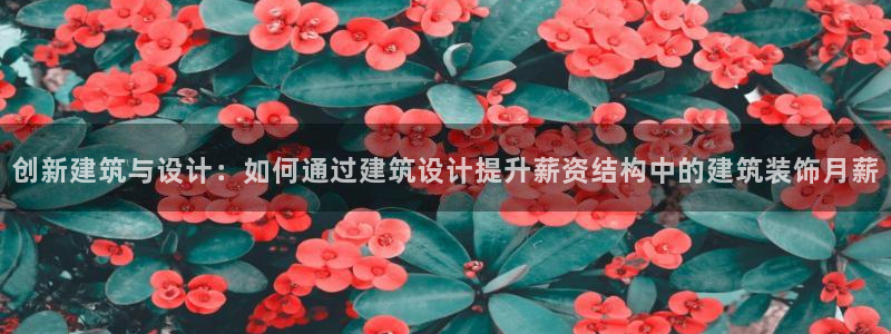 新航娱乐怎么样