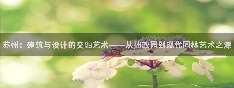 新航娱乐旗下平台有哪些