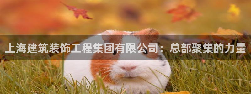 新航海大酒店娱乐城