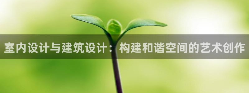 新航娱乐公司招聘信息网