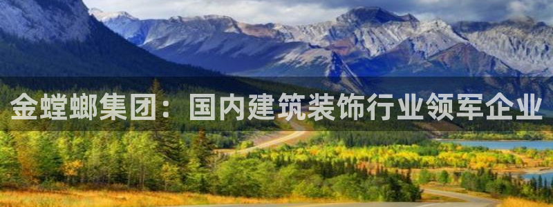 新航娱乐观