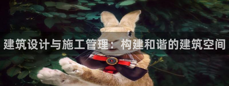 新航娱乐公司怎么样知乎