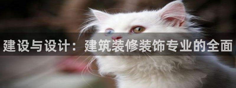 新航娱乐传媒招聘信息