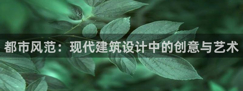 新航娱乐官网登录入口