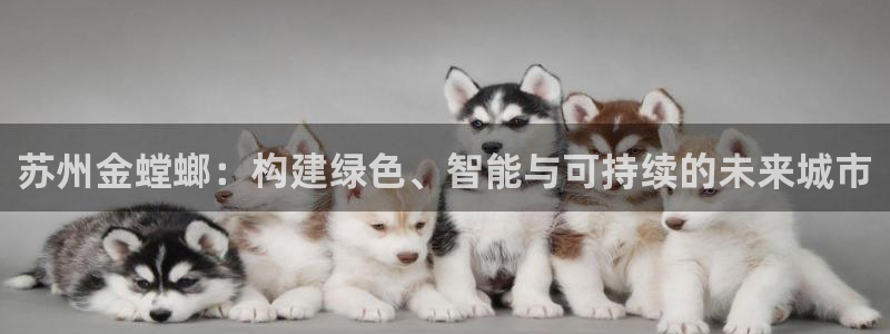 新航娱乐代理