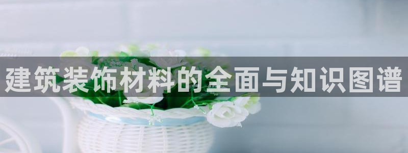 新航娱乐有限公司地址