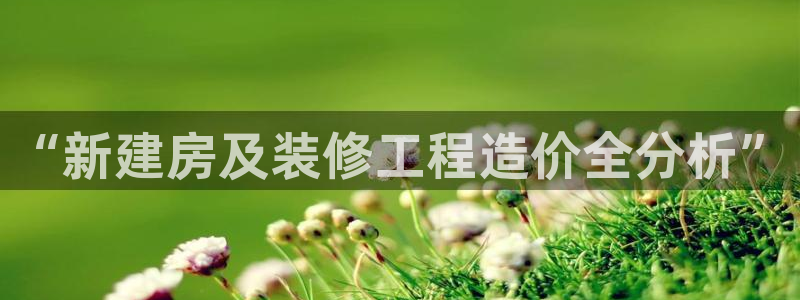 新航新客舱机上娱乐银
