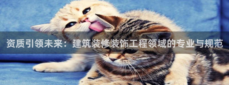 新航娱乐公司简介