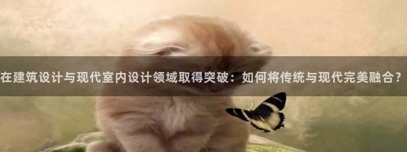 新航国际娱乐