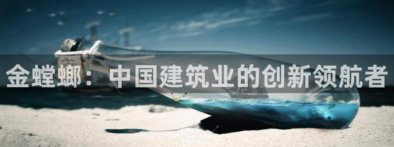 新航文化娱乐传媒