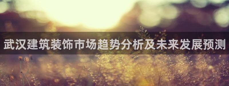 新航娱乐主管是谁