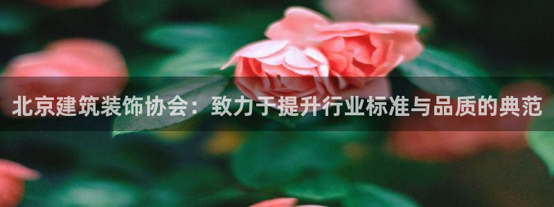 南京新航娱乐