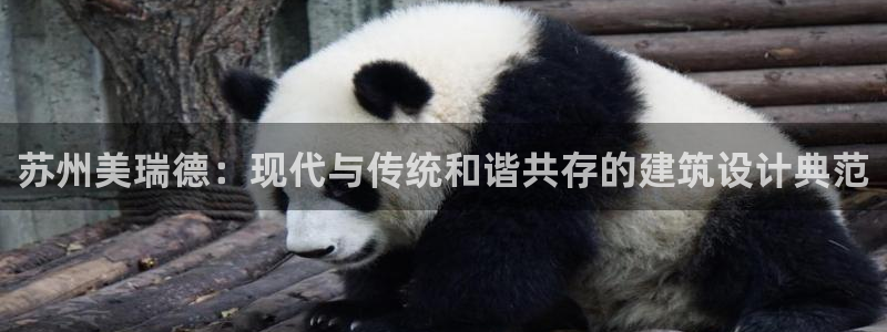 新航娱乐直开怎么下载