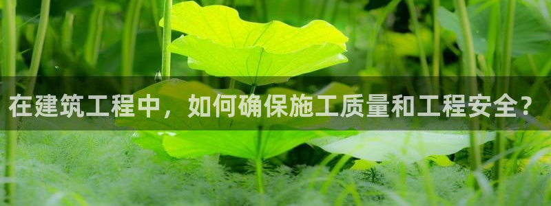 兰山新航线娱乐会所