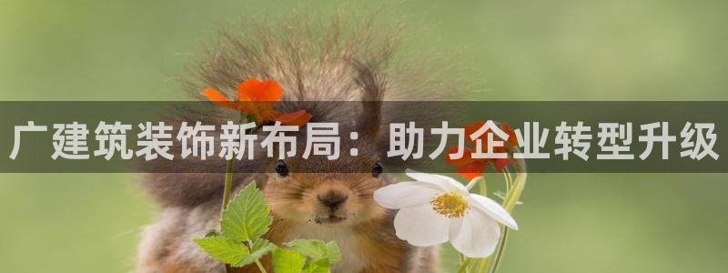 新航娱乐公司艺人