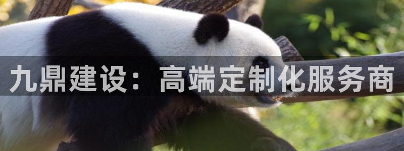 新航娱乐管理有限公司