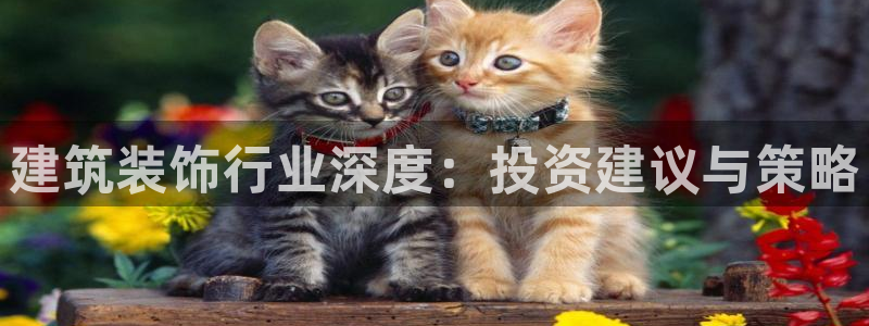 新航娱乐公司招聘信息网