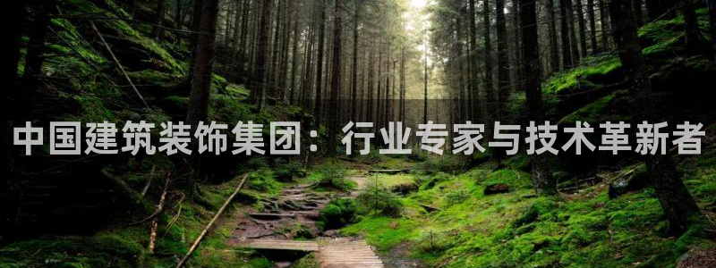 新航娱乐有限公司招聘