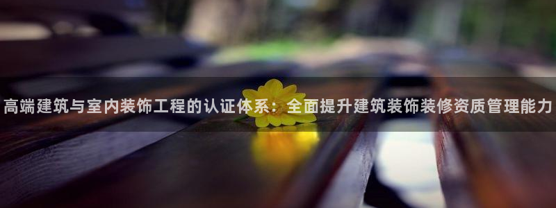 新航娱乐公司问题分析