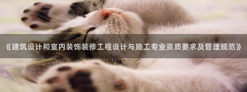 新航娱乐公司艺人
