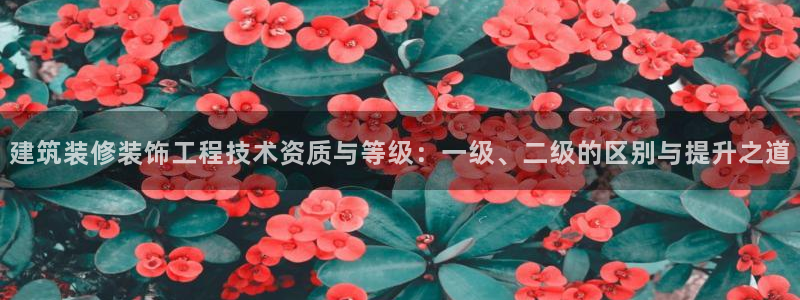 新航娱乐q