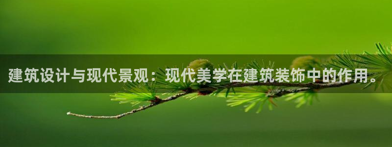 新航娱乐公司招聘