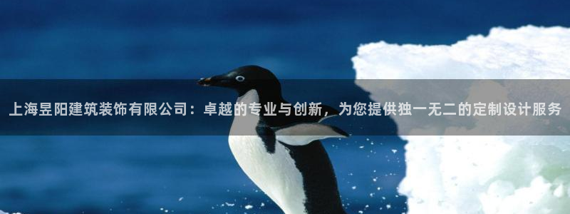 开启娱乐新航线