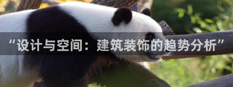 新航娱乐直开怎么下载