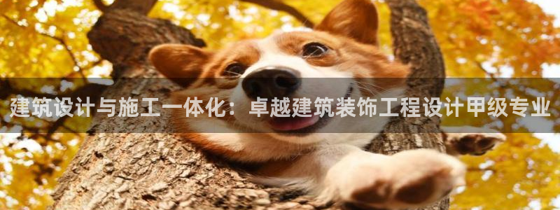 德阳娱乐城最新航拍