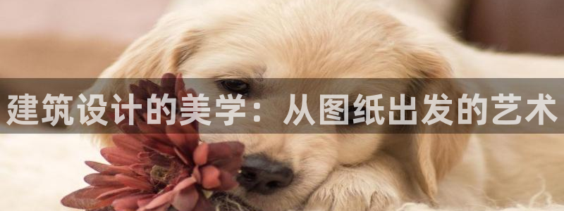 新航娱乐的最新动态报道