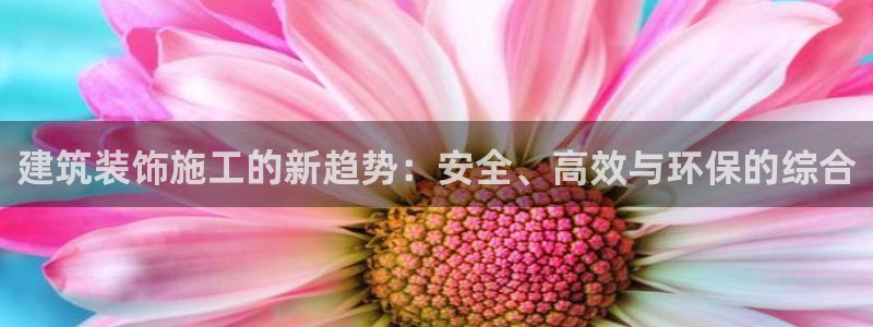 新航娱乐官方网站入口